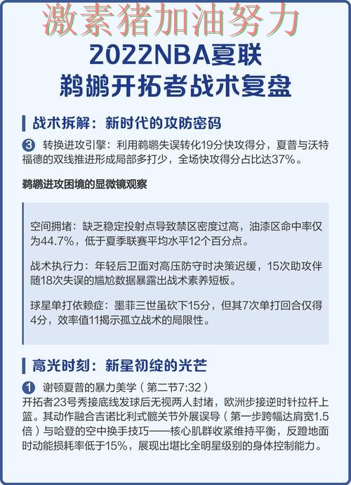 鹈鹕防线告急临场调整值得复盘